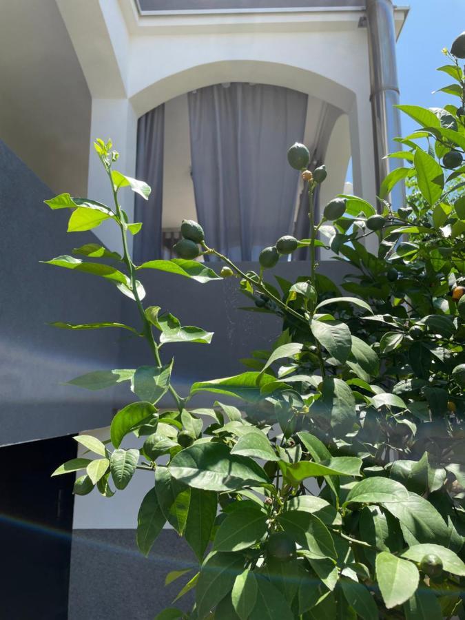 Appartement Mare